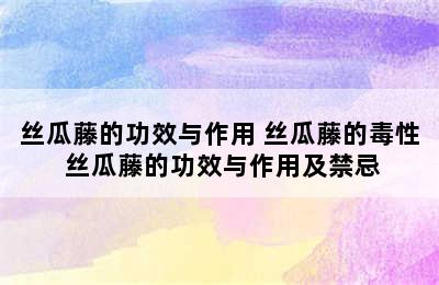 丝瓜藤的功效与作用 丝瓜藤的毒性 丝瓜藤的功效与作用及禁忌